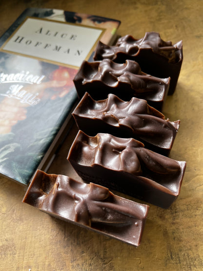 Five dark chocolate bars with a textured, surface are arranged diagonally next to a book titled 'Practical Magic' by Alice Hoffman on a rustic, metallic gold surface.