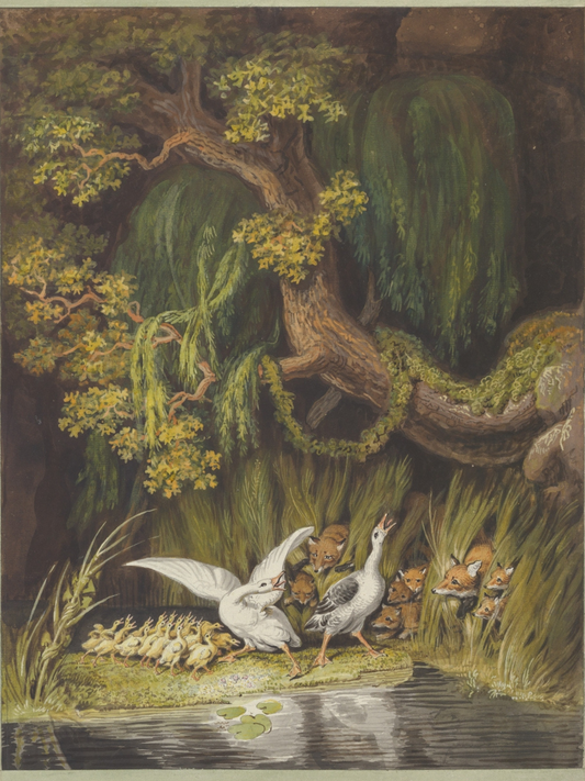 A Tapestry of Foxes