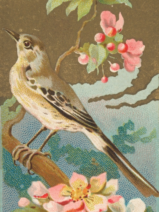 Bird perched on a branch with pink flowers in a detailed illustration