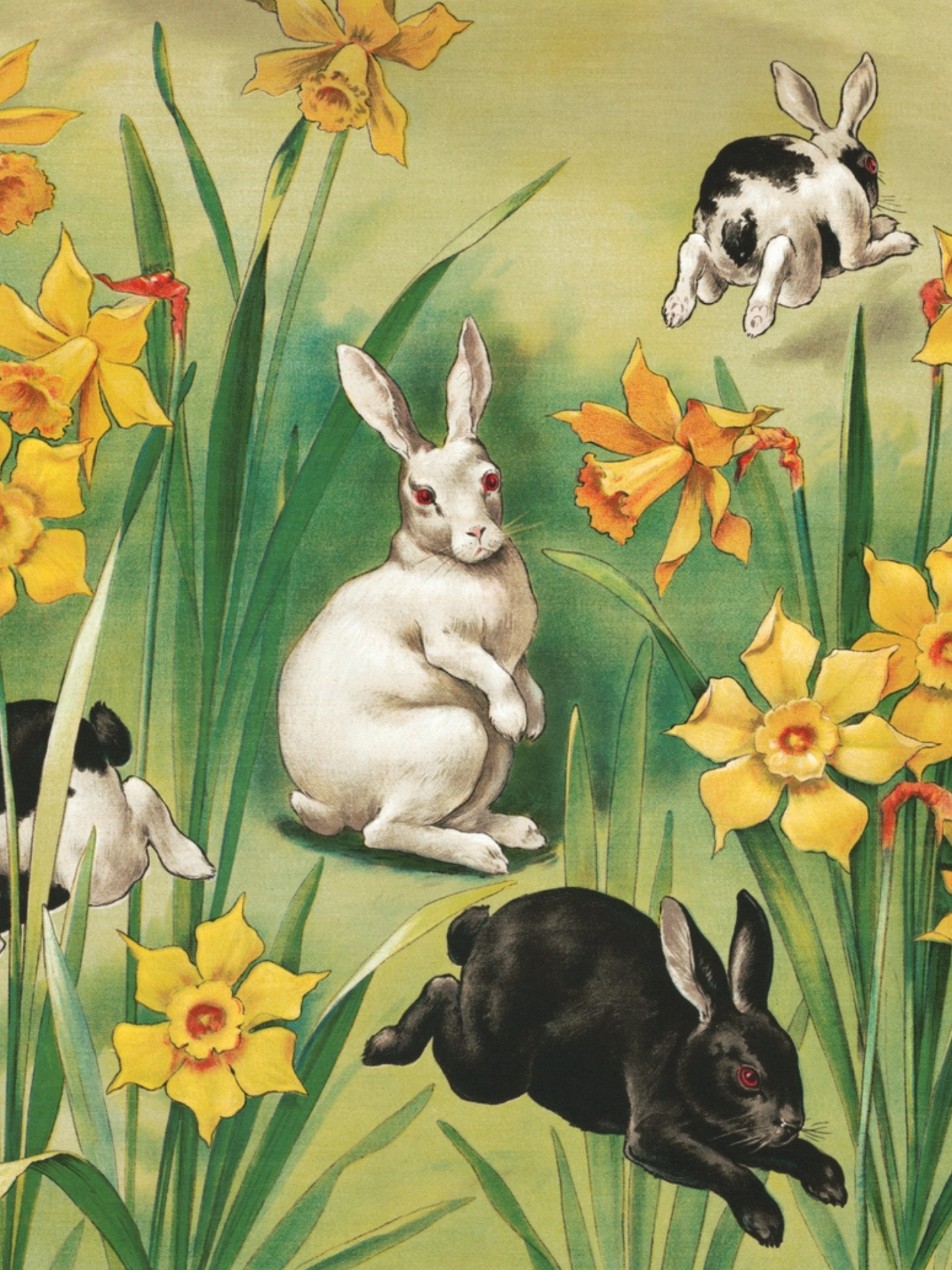 Illustration of rabbits and daffodils in a garden setting